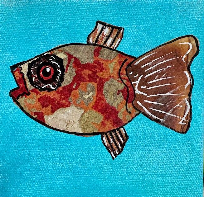 Fish Series 2026: Rusty Rowan