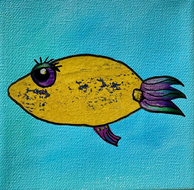 Fish Series 2026: Dottie Belle