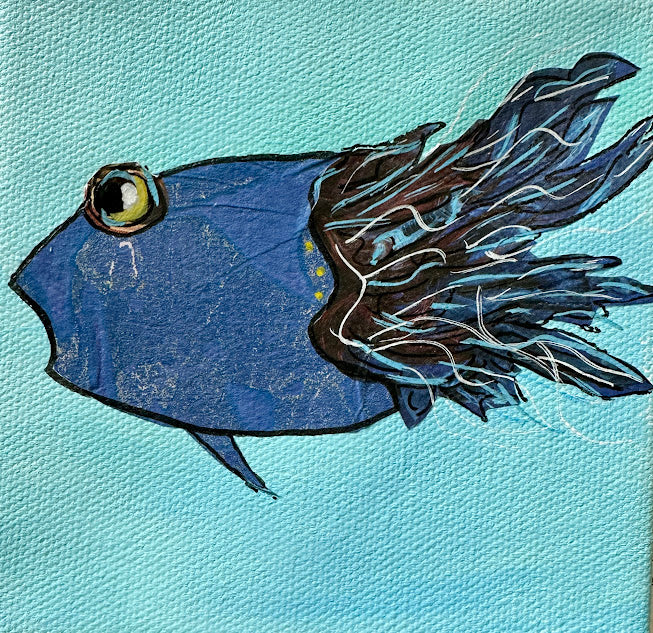 Fish Series 2026: Indigo Sue