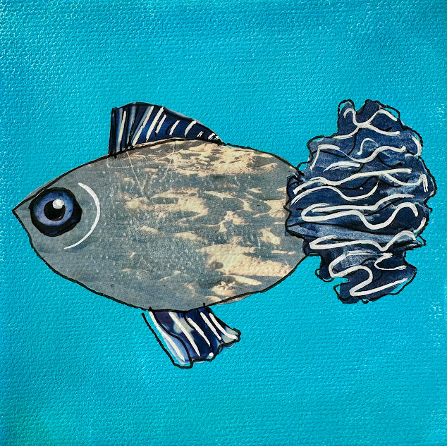 Fish Series 2026: Blue Harbor