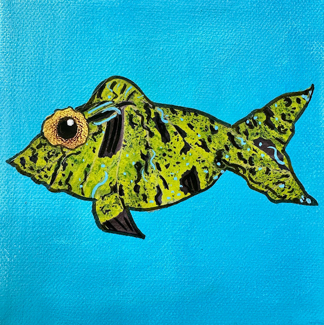 Fish Series 2026: Mossy June