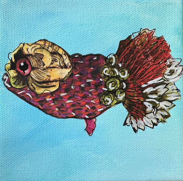 Fish Series 2026: Miss Ruby