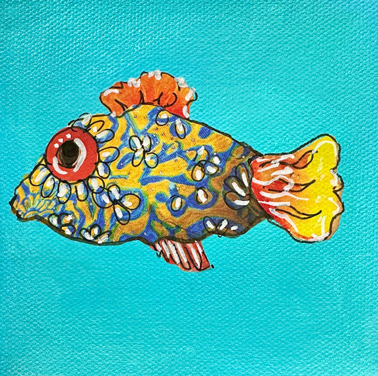 Fish Series 2026: Daisy Doodle