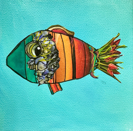 Fish Series 2026: Penny Lou