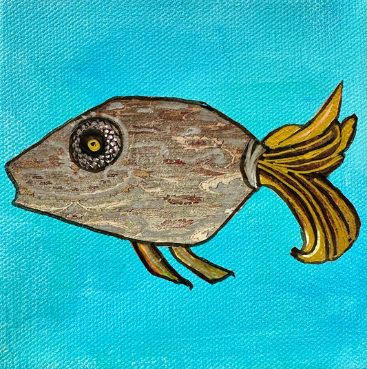 Fish Series 2026: Driftwood Della