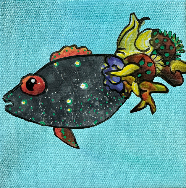 Fish Series 2026:  Midnight Maribel
