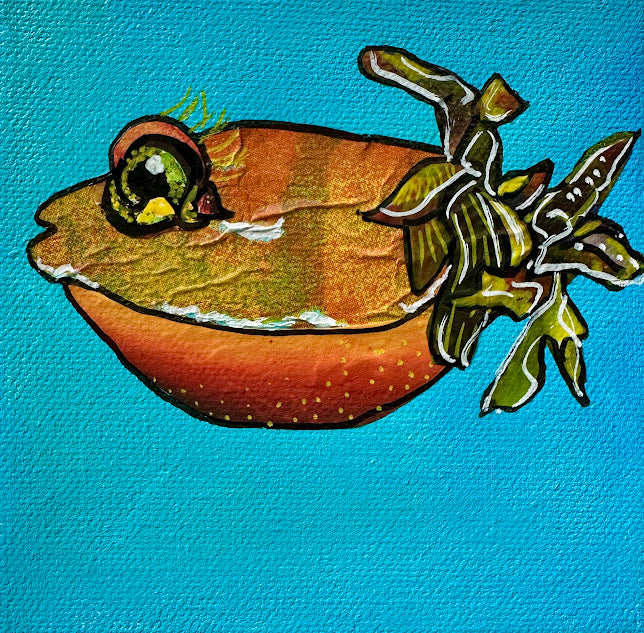 Fish Series 2026: Harvest Harlow