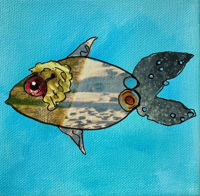 Fish Series 2026:  Tilly