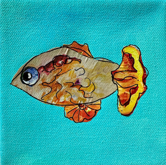 Fish Series 2026: Sadie