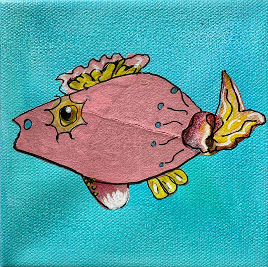 Fish Series 2026: Suzie Cue
