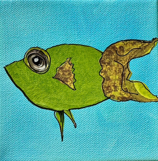 Fish Series 2026: Olivia Anne