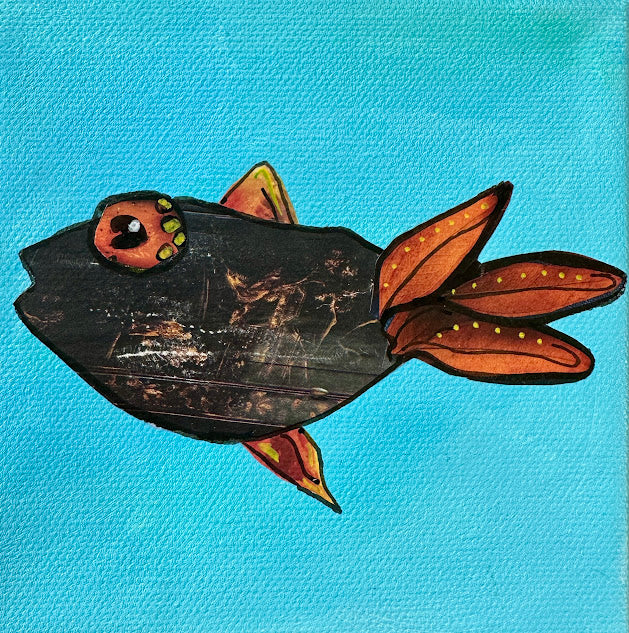Fish Series 2026: Ember Ray