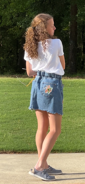 'Ansley' Butterflies & Dragonflies Denim Skirt